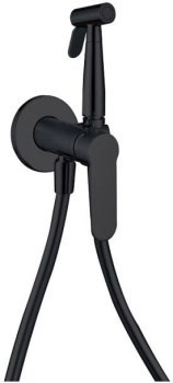 AQUANET Passion Смеситель с гигиеническим душем, цвет черный AQUANET-243316 - фото 336217