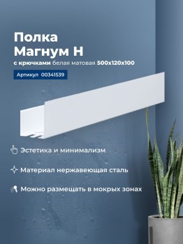 AQUANET Полка Магнум Н 50x12 белая матовая, с крючками AQUANET-341539 - фото 336624