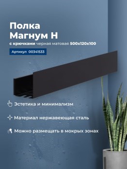 AQUANET Полка Магнум Н 50x12 черная матовая, с крючками AQUANET-341533 - фото 336631