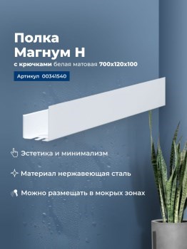 AQUANET Полка Магнум Н 70x12 белая матовая, с крючками AQUANET-341540 - фото 336651