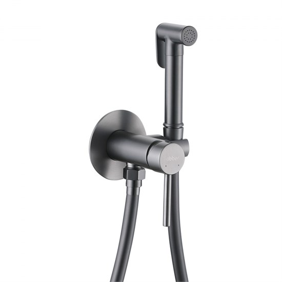 ABBER Wasser Kreis Смеситель AF8125NG с гигиеническим душем, никель AF8125NG