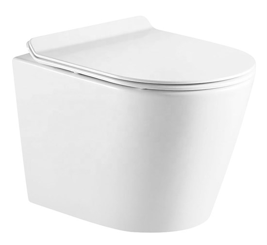 AZARIO Унитаз подвесной  FONTI 535x365x310 безободковый, в комплекте с сиденьем микролифт, белый (AZ-402W) AZ-402W - фото 355349