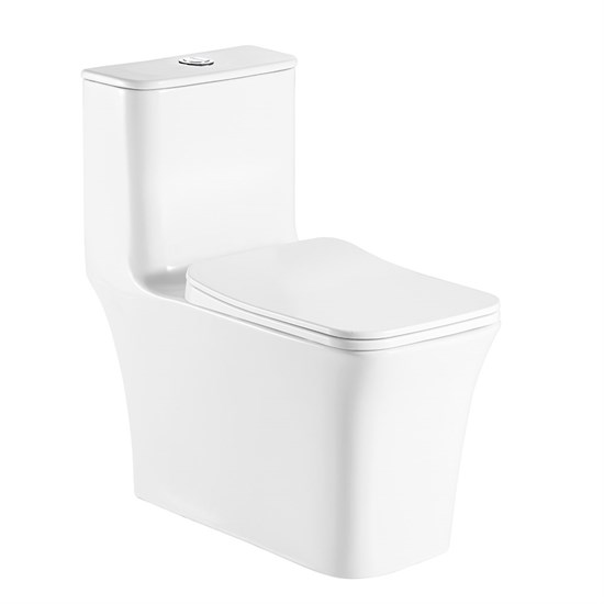 AZARIO Унитаз-моноблок  GRESSA 705х370х760 напольный, безободковый, в комплекте с сиденьем дюропласт микролифт, белый (AZ-1111) AZ-1111 - фото 355461