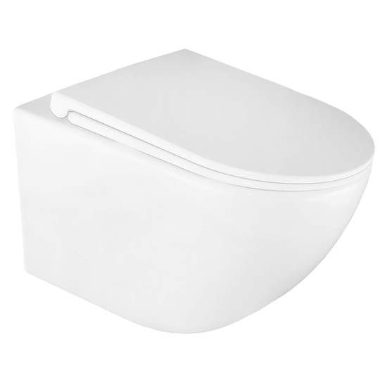 AZARIO Bonelle Унитаз подвесной 345х490х350 безободковый, смыв "Торнадо", с быстросъемным сиденьем микролифт (AZ-2801E) AZ-2801E