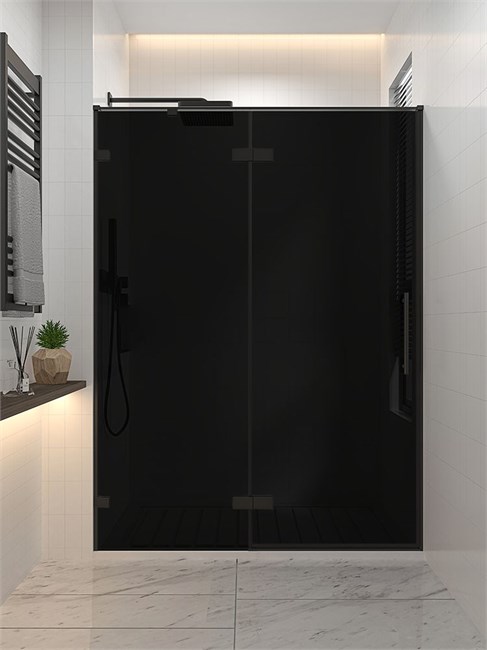 VECONI Душевая дверь распашная  Premium Alassio BB, 1400х2000, черный матовый, стекло черное AL-140-11-BB-C4