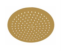 WASSERKRAFT Aisch 5500 A259 Верхняя душевая насадка, золото WASSERKRAFT A259