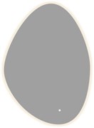 AQUANET Зеркало Аура Лайт 70x100 LED ТХ, антипар AQUANET-334363