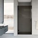 VINCEA Душевая дверь Flex VDP-1F900CGB, 900, черный, стекло тонированное - фото 181559