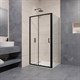 RGW PA-74B (PA-14B + Z-050-2B) 1500x900 Душевой уголок 410874159-14 - фото 189191