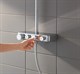 GROHE Душевая система Euphoria SmartControl 310 Duo 26507000 GROHE-26507000 - фото 198248