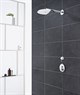 GROHE Верхний душ Euphoria SmartControl 26457000 GROHE-26457000 - фото 201144