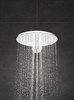 GROHE Верхний душ Rainshower SmartActive 26475LS0 GROHE-26475LS0 - фото 201258