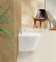 BELBAGNO Flay-R Биде напольное, с крепежом, цвет белый BB1003B - фото 236320