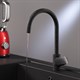 AM.PM F8007722 Like, смеситель для кухни с каналом для питьевой воды, черный, шт. - фото 240895