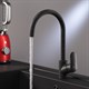 AM.PM F8007722 Like, смеситель для кухни с каналом для питьевой воды, черный, шт. - фото 240896