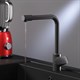 AM.PM F8005722 Like, смеситель для кухни с каналом для питьевой воды, L-излив, черный матовый, шт. - фото 240947