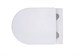 AQUATEK Европа Унитаз подвесной безободковый с сиденьем Soft Close, цвет белый - фото 246999