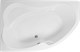 AQUANET Capri Ванна акриловая асимметричная встраиваемая / пристенная размер 170x110 см с каркасом L, белый - фото 272380