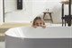 Акриловая ванна Kolpa San Pandora Fs 173х78 белая с интегрированной панелью - фото 273592