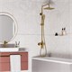 WASSERKRAFT Aisch BK15501BG Душевой комплект для набора, золото WASSERKRAFT BK15501BG - фото 324889