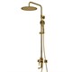 WASSERKRAFT Sauer BK17101PG Душевой комплект для набора, золото WASSERKRAFT BK17101PG - фото 325314