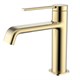 AQUAme Asti Смеситель для раковины однорычажный, Brushed gold AQM6410BG - фото 326337