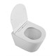 BELBAGNO Flay-R Унитаз подвесной безободковый с сиденьем дюропласт soft close, белый BB053CHR/SC - фото 328598