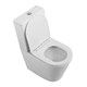 BELBAGNO Flay-R Чаша унитаза безободкового с сиденьем дюропласт soft close P-trap, белый BB2149CPR/SC - фото 328660
