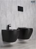 GID Унитаз подвесной Bm2198 62226Y черный матовый 49x36x35.5 GID-62226Y - фото 332936