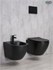 GID Унитаз подвесной Bm2198 62226Y черный матовый 49x36x35.5 GID-62226Y - фото 332937