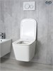 GID Унитаз подвесной Tr2143 62257Y белый 49x34x36 GID-62257Y - фото 332990