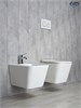 GID Унитаз подвесной Tr2143 62257Y белый 49x34x36 GID-62257Y - фото 332994
