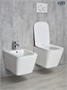 GID Унитаз подвесной Tr2143 62257Y белый 49x34x36 GID-62257Y - фото 332995