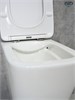 GID Унитаз подвесной Tr2143 62257Y белый 49x34x36 GID-62257Y - фото 332996