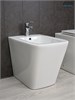 GID Биде напольное BDN-54 21108 белый 54.5x36.5x41.5 GID-21108 - фото 333164