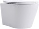 AQUANET Унитаз подвесной Rimless Atago 2.0 W LX-1905, белый AQUANET-243549 - фото 333636