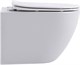 AQUANET Унитаз подвесной Rimless Cetus W Short LX-1900, белый AQUANET-249710 - фото 333641