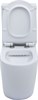AQUANET Чаша напольного унитаза Rimless Cetus-C1 BL-102N-TPT, белый AQUANET-203342 - фото 333978