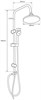 AQUANET Passion Душевая стойка, цвет черный AQUANET-AF300-70-R-B - фото 336245