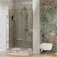 WASSERKRAFT Aisch 55P Душевая дверь распашные ширина 100 см профиль - золото / стекло - прозрачное WASSERKRAFT 55P12 - фото 342866