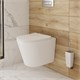 IDDIS Унитаз подвесной безободковый Calipso (CALRNSEi25) CALRNSEi25 - фото 349720