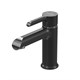 GROSSMAN Смеситель для раковины Alba 510.K35.06.100/210 хром с черным 510.K35.06.100/210 - фото 350744
