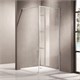 AZARIO Душевая перегородка  RICHMOND Walk-in 1000х2000 прозрачное стекло, цвет профиля серебро (AZ-NAG 6310 1000) AZ-NAG 6310 1000 - фото 351542