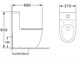 AZARIO Унитаз-моноблок  MORANO 680x370х830 напольный, безободковый, в комплекте со смывным механизмом Geberit и сиденьем дюропласт микролифт (AZ-1001-G) AZ-1001-G - фото 355227