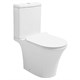 AZARIO Унитаз-компакт  Verde 650х380х790 напольный, безободковый, с быстросъемным сиденьем микролифт (AZ-8220) AZ-8220 - фото 355317