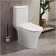 AZARIO Унитаз-компакт  Verde 650х380х790 напольный, безободковый, с быстросъемным сиденьем микролифт (AZ-8220) AZ-8220 - фото 355331