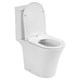 AZARIO Унитаз-компакт  VISE 640х365х820 напольный, безободковый, в комплекте с быстросъемным сиденьем микролифт (AZ-1343BT) AZ-1343BT - фото 355599