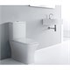 AZARIO Унитаз-компакт  Blaise 385х615х801 напольный, безободковый с быстросъемным сиденьем микролифт (AZ-55-1) AZ-55-1 - фото 356033