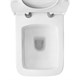 AZARIO Унитаз-моноблок  Zeno 640х365х740 ободковый, с быстросъемным сиденьем Slim микролифт (AZ-1169) AZ-1169 - фото 356513