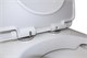 AZARIO Унитаз моноблок  Luna 770x390x710 напольный, горизонтальный слив, сиденье дюропласт микролифт (AZ-1037) AZ-1037 - фото 356594